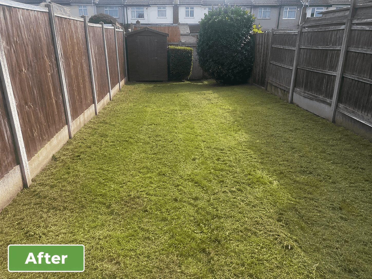 Overgrown garden before and after professional cleaning - after