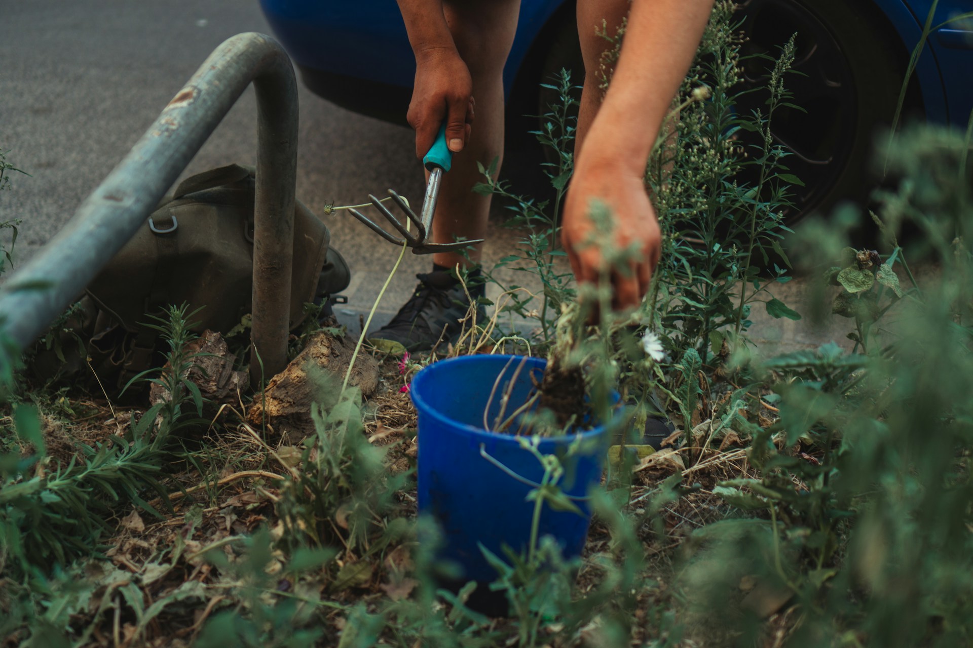 10 Essential Spring Garden Cleaning Tips for UK Homeowners